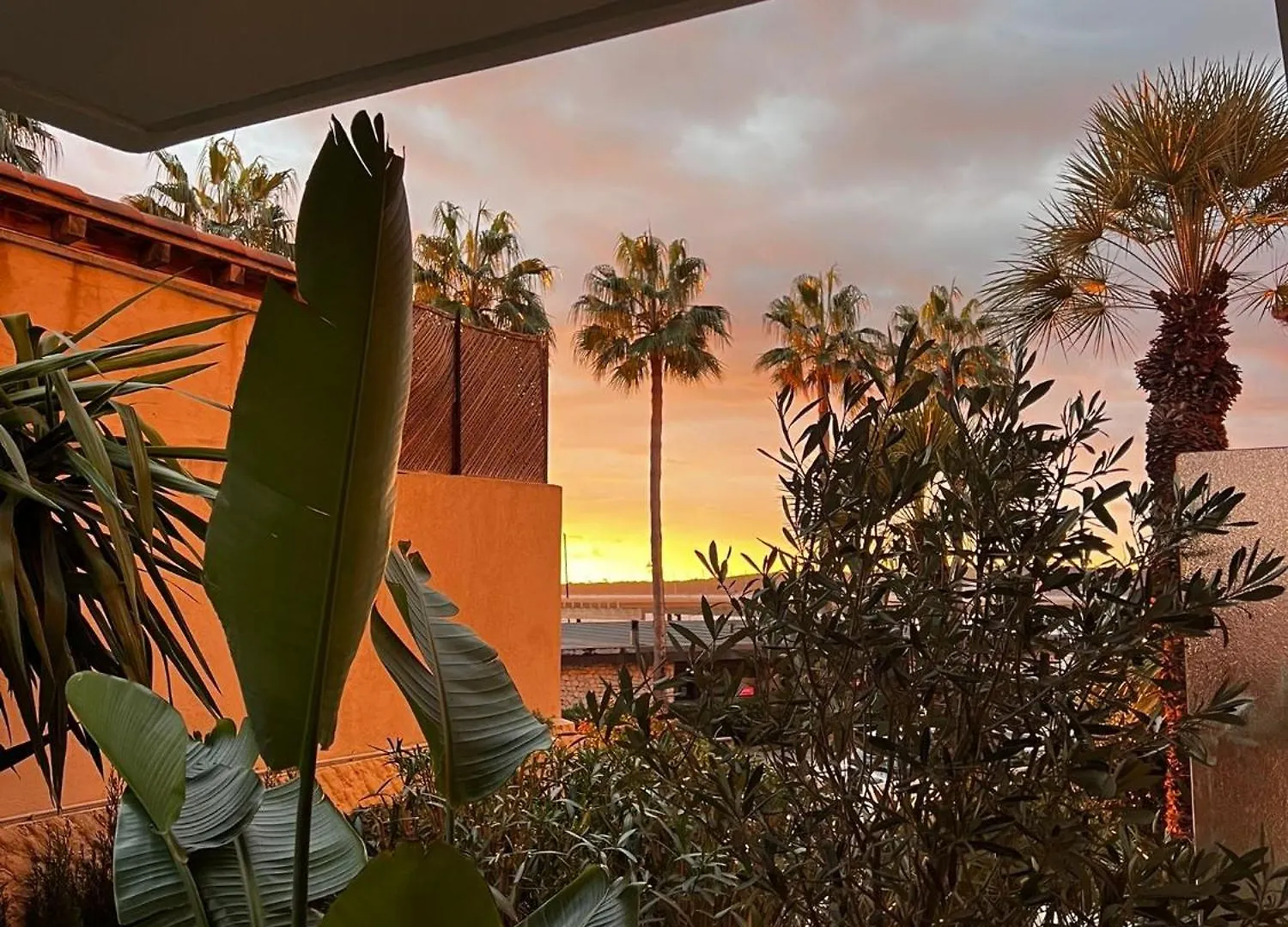 Palm Beach Front De Mer Cannes Apartment
