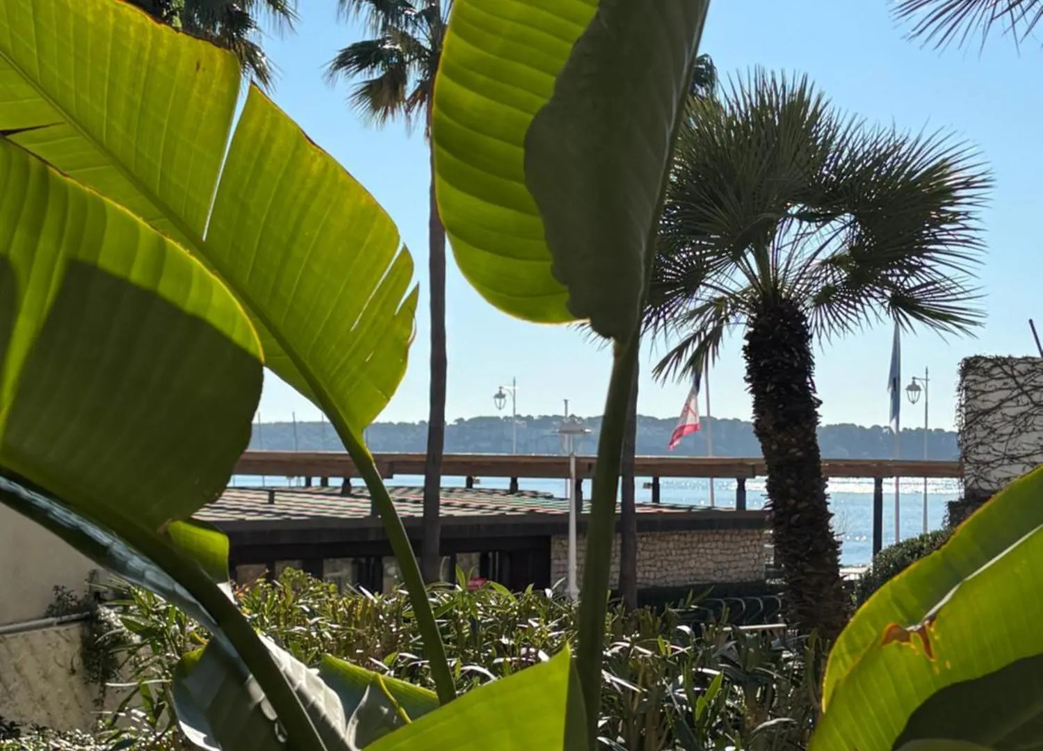 Palm Beach Front De Mer Cannes